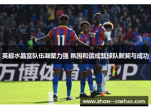 英超水晶宫队伍凝聚力强 氛围和谐成就球队默契与成功