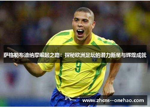 萨格勒布迪纳摩崛起之路：探秘欧洲足坛的潜力新星与辉煌成就