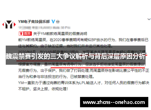 魏震禁赛引发的三大争议解析与背后深层原因分析